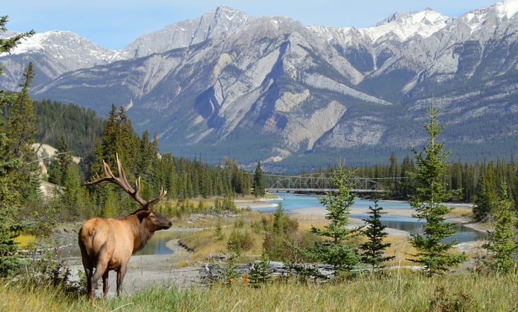 Luxury travel in Canada