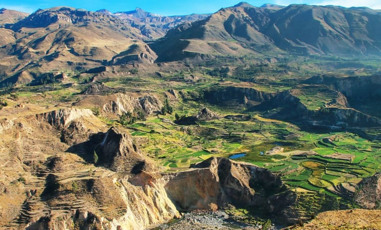 Stepped terraces in Colca Canyon in Peru