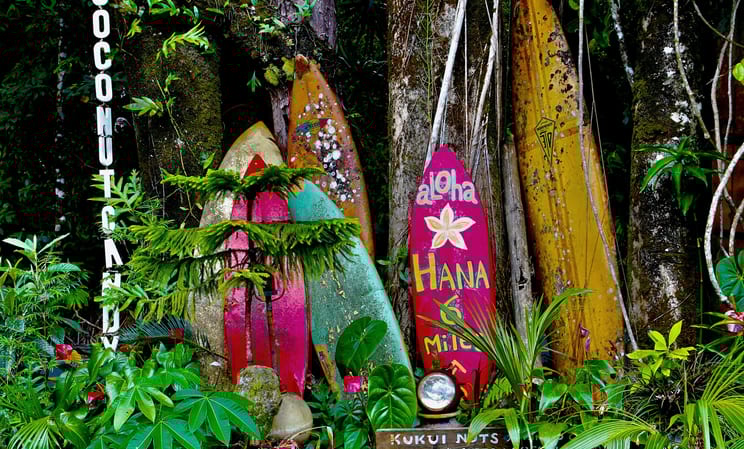 Surfing in Hawaii