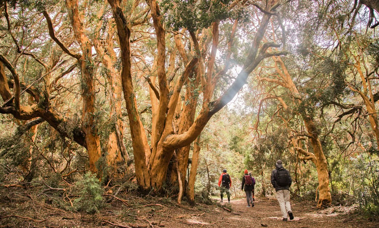 Bariloche hiking in argentina
