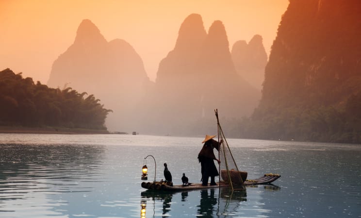 comorant fishing in yangshou in china