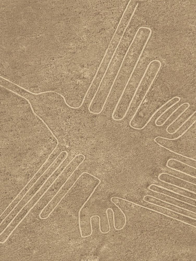 The hummingbird geoglyph