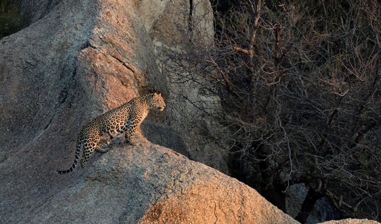 India luxury holidays