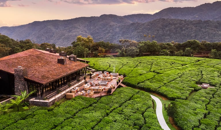 One&Only Nyungwe House, Rwanda