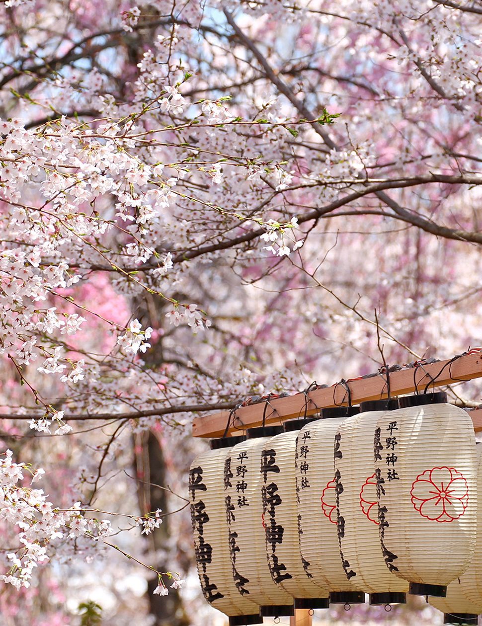 Japan luxury travel