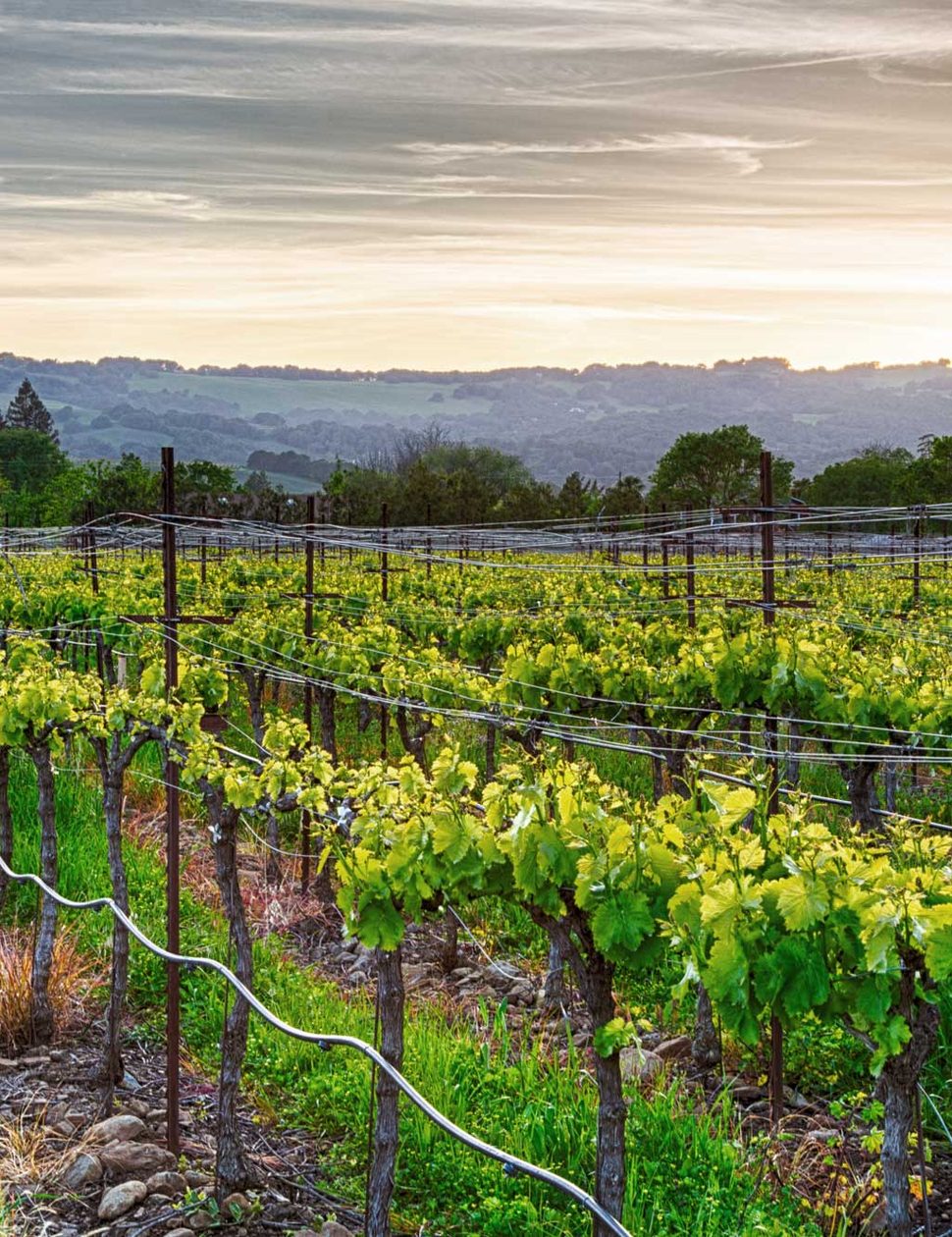 Stay at the Farmhouse Inn, California