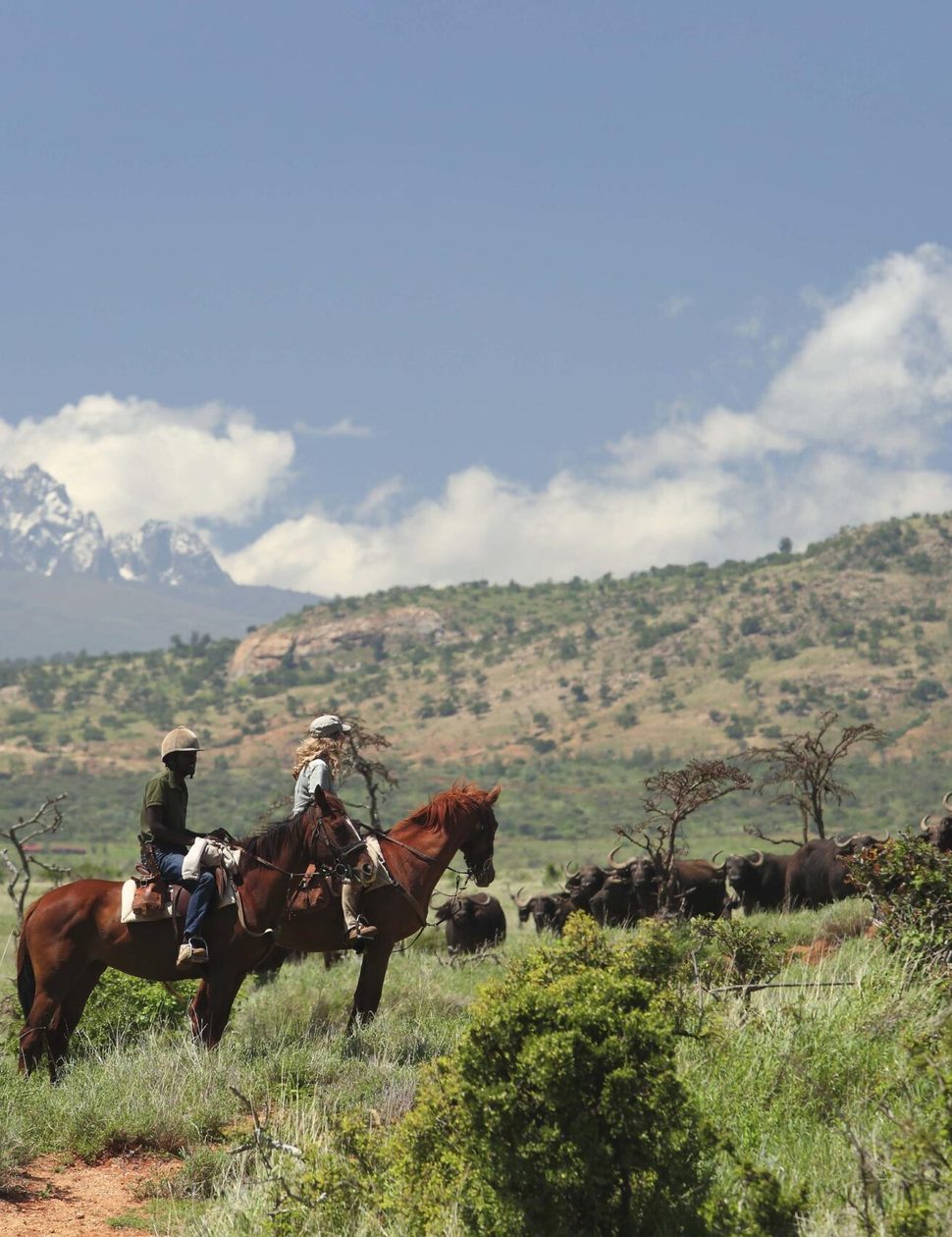 borana horseriding safari