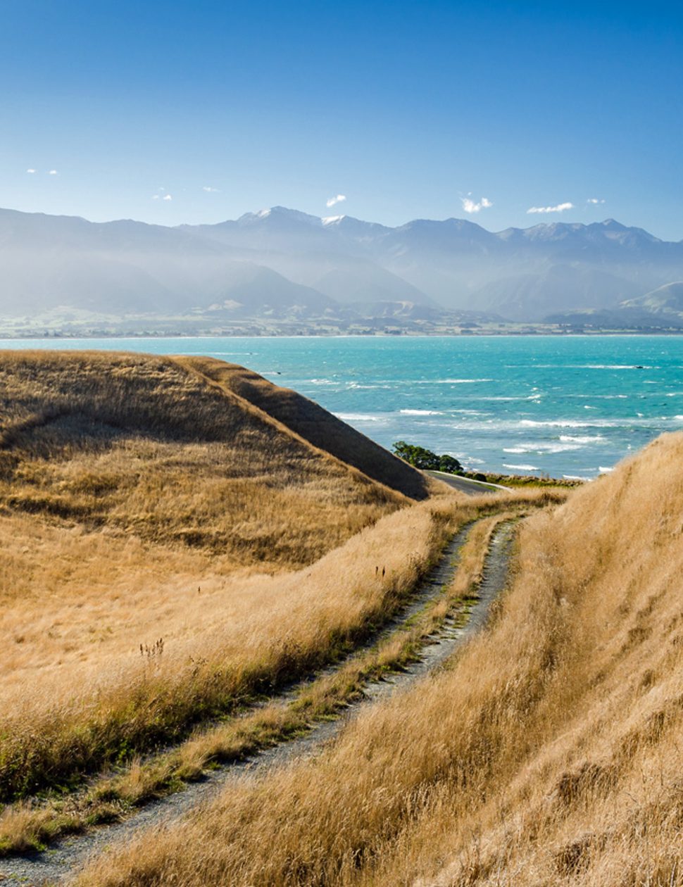 kaikoura new zealand south island