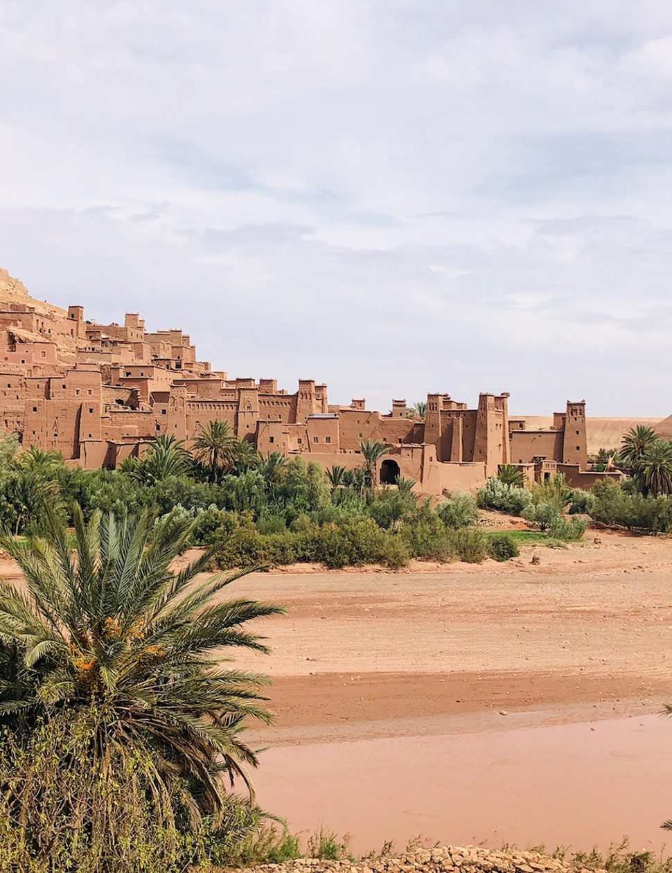 Luxury travel expert Africa
