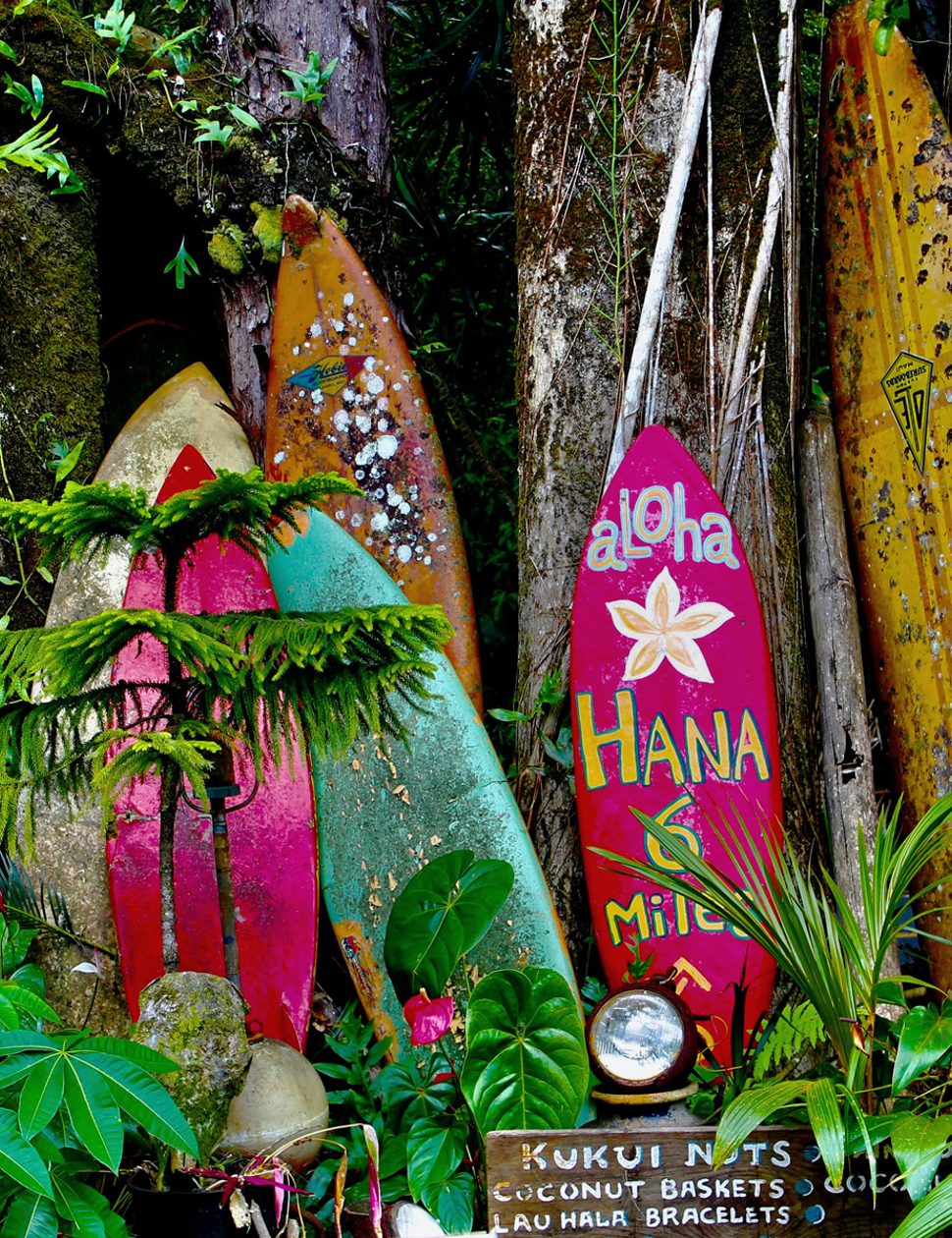 Surfing in Hawaii