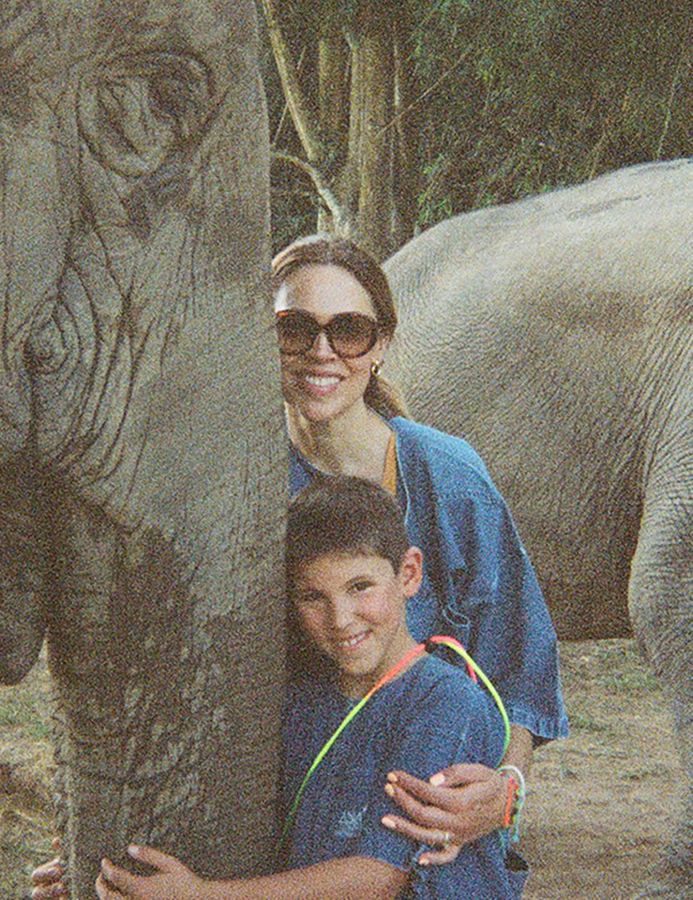 Thailand elephants experience
