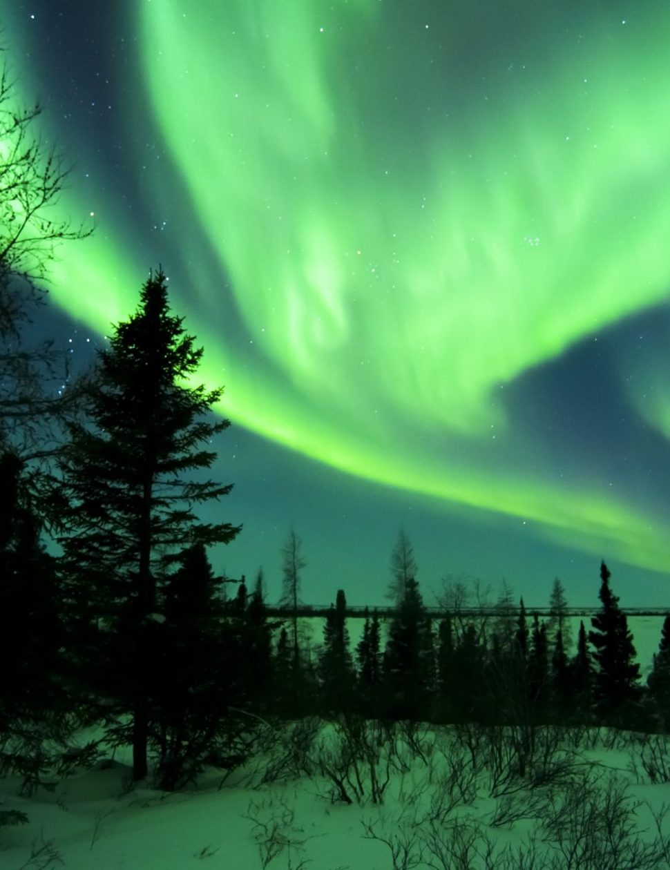 Watch the Northern Lights