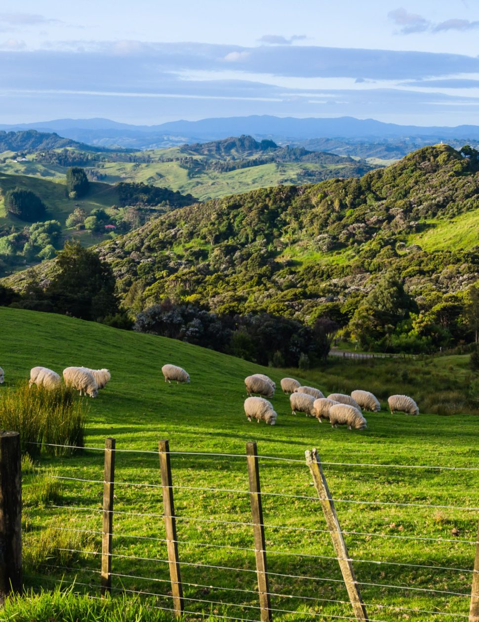 New Zealand luxury travel