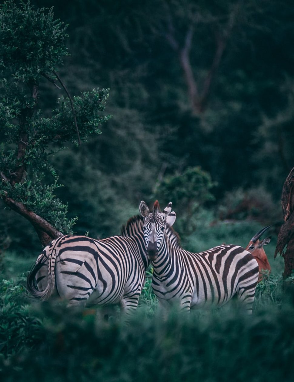 Botswana