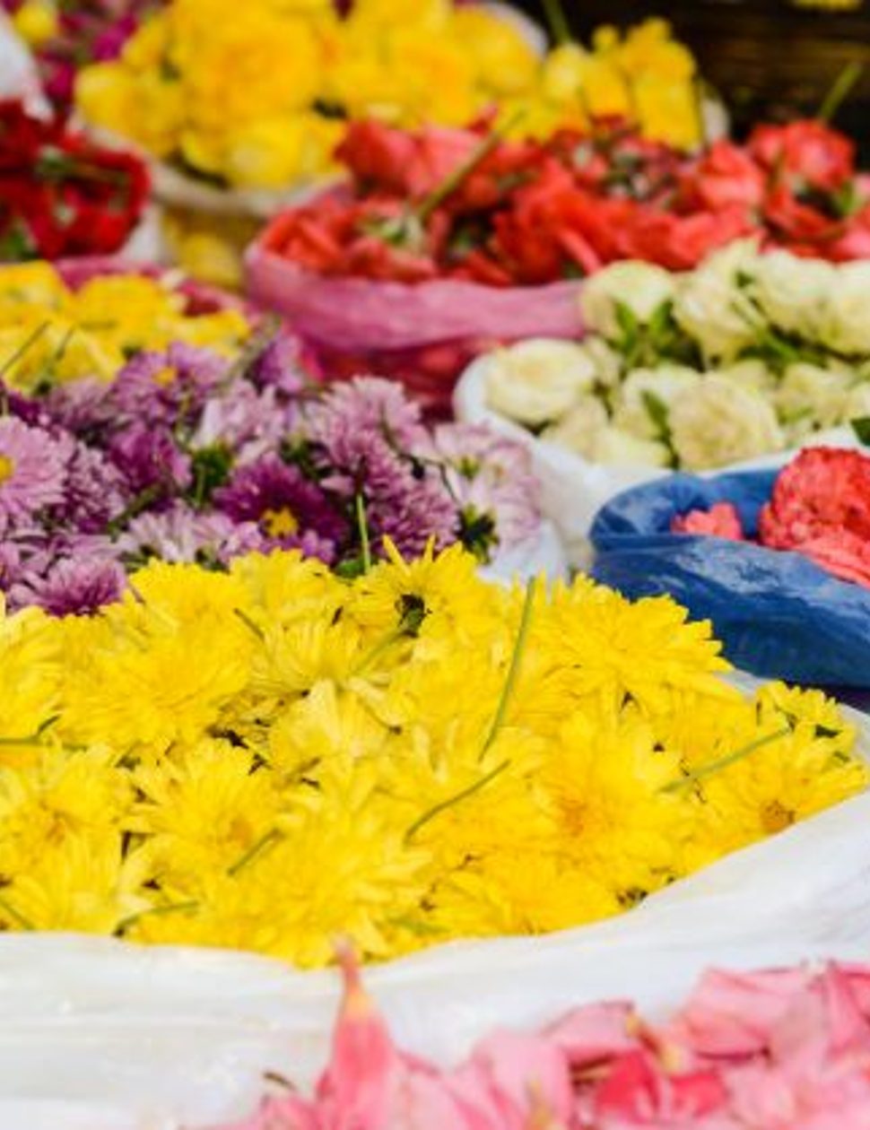 flower market in india