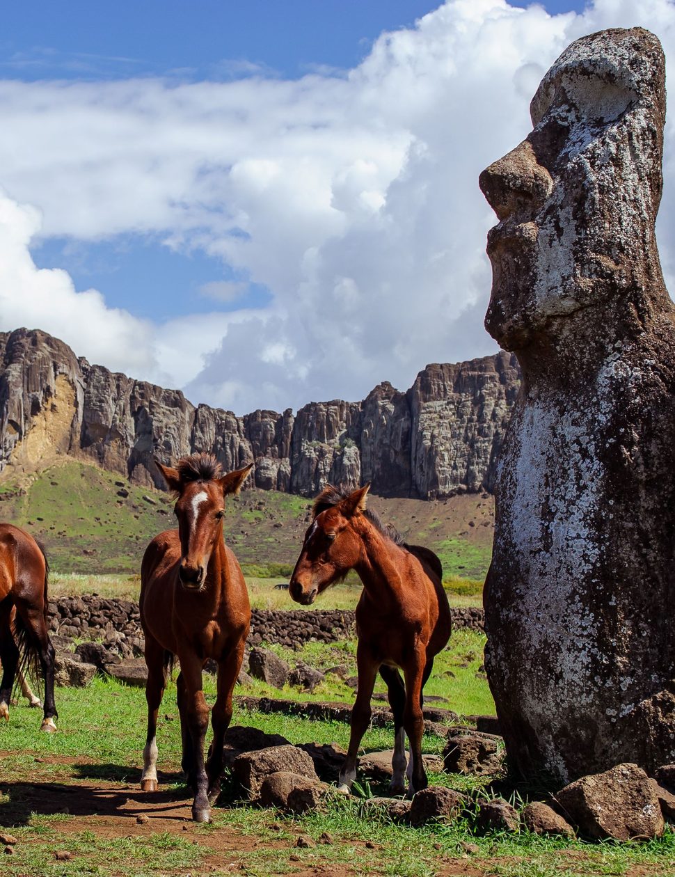 easter island horses chile