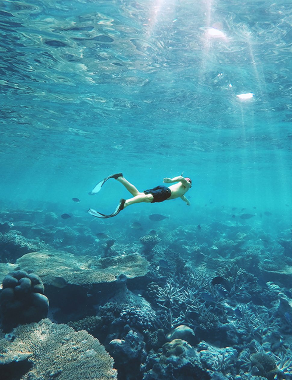 diving in the maldives