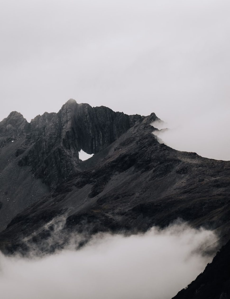 NZ