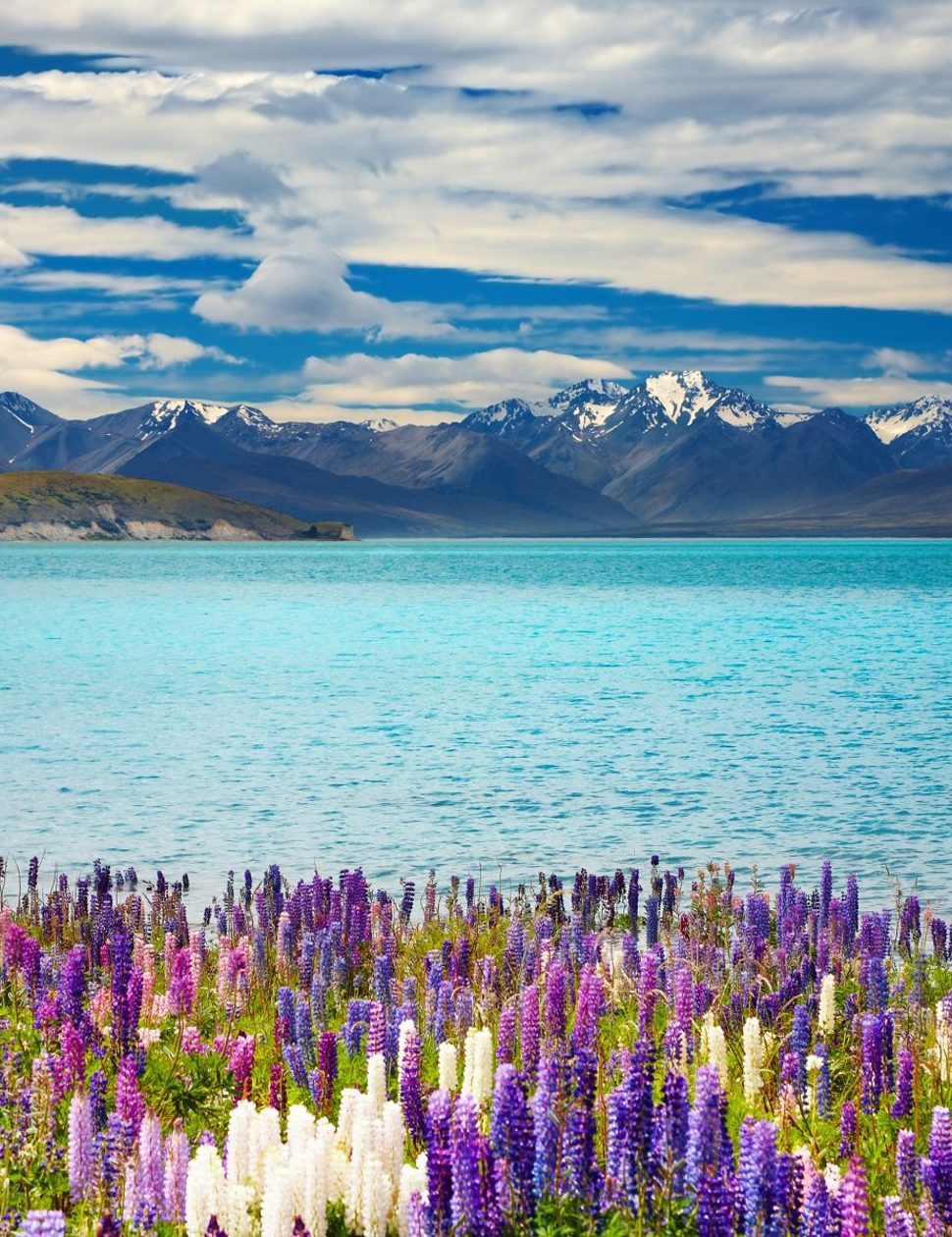 Lake Tekapo, South Island, New Zealand
