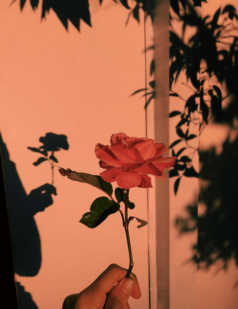 los angeles by photographer Pia Riverola