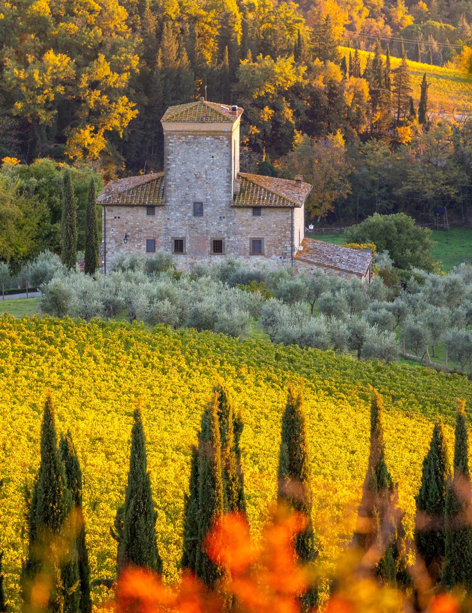 countryside in chianti in tuscany in italy