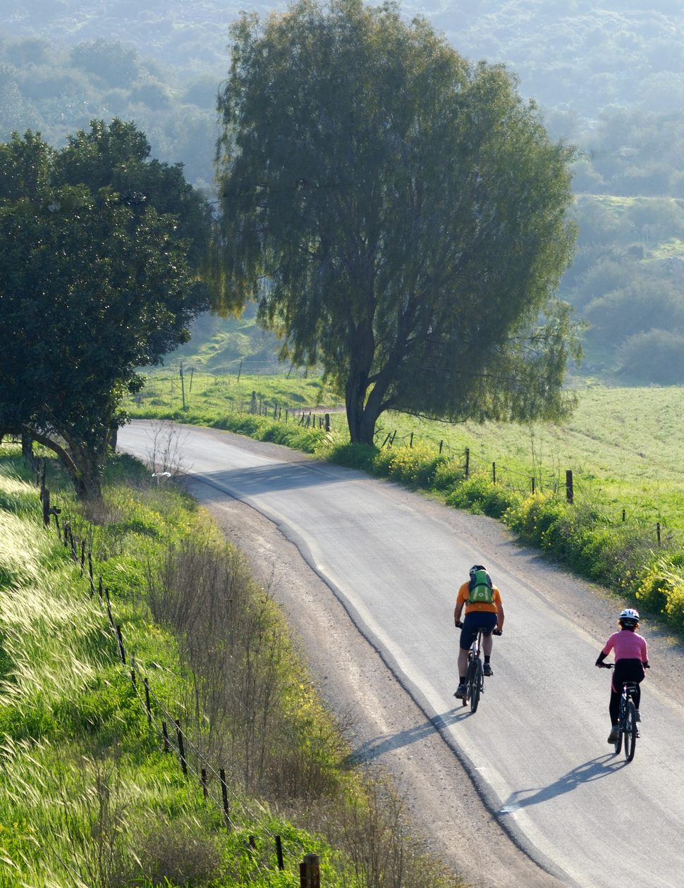 cyclists in tuscany in italy