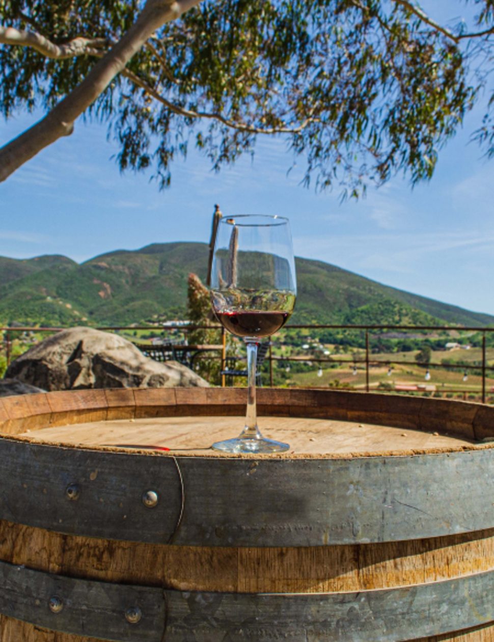 Glass of wine in Santo Tomas vineyards, Guadalupe Valley