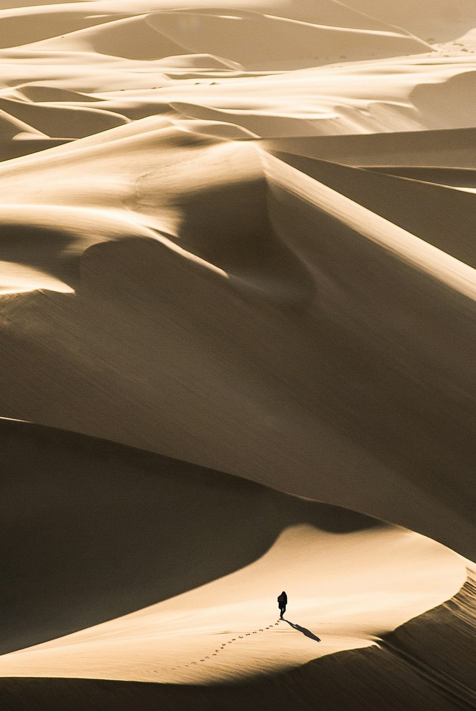 A lone figure walks through a sandy desert