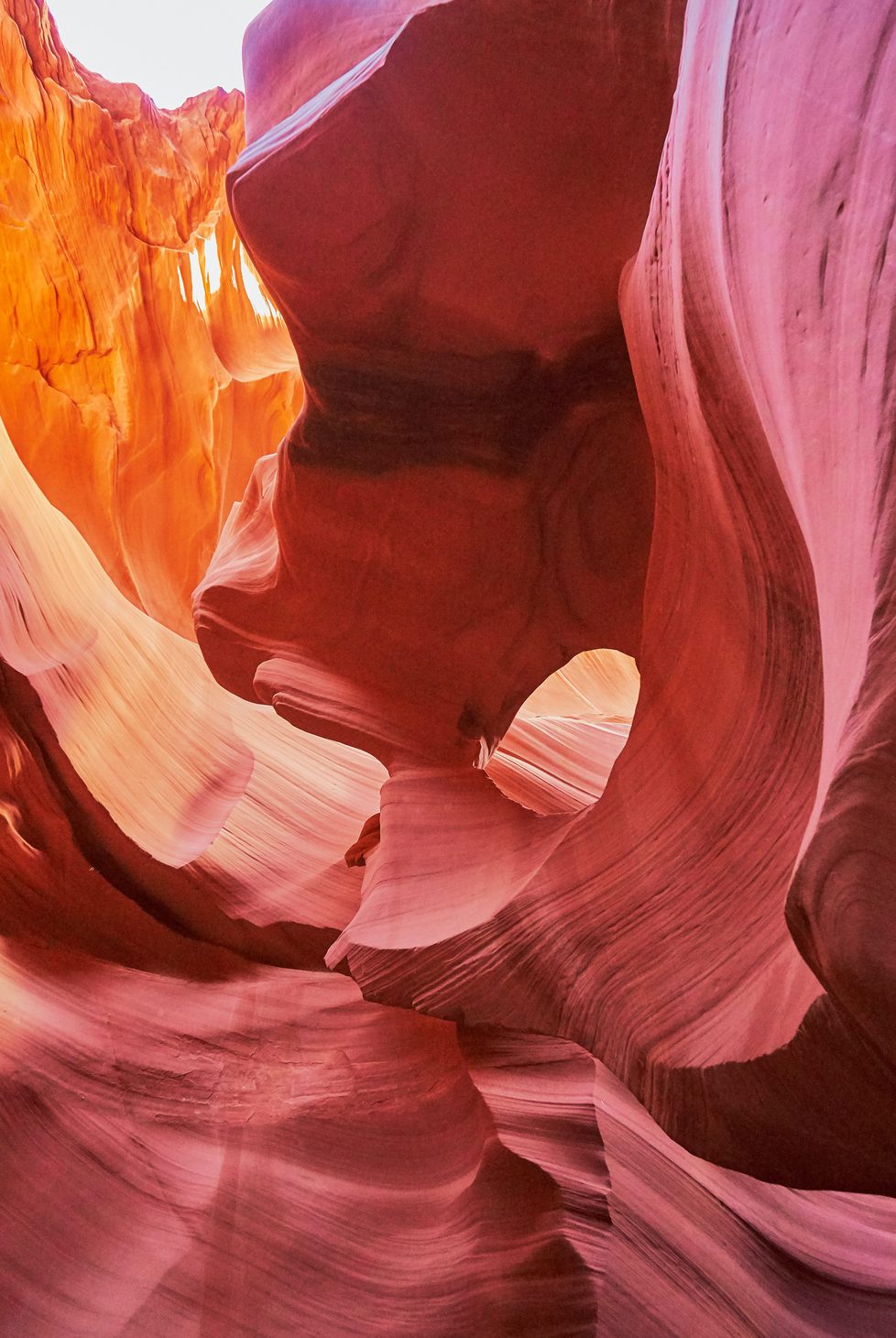 New York Times family travel trends