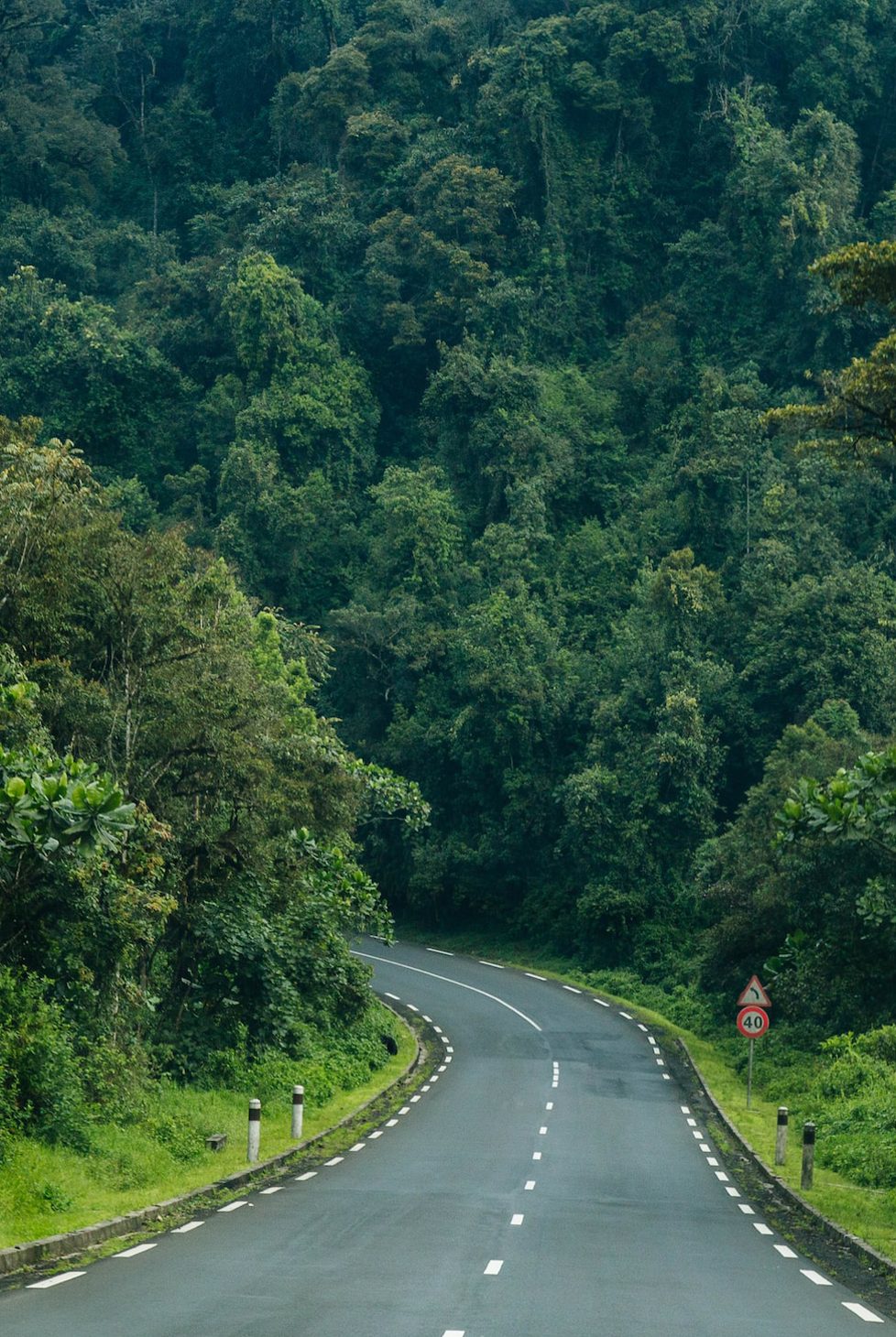 Rwanda roads into the jungle