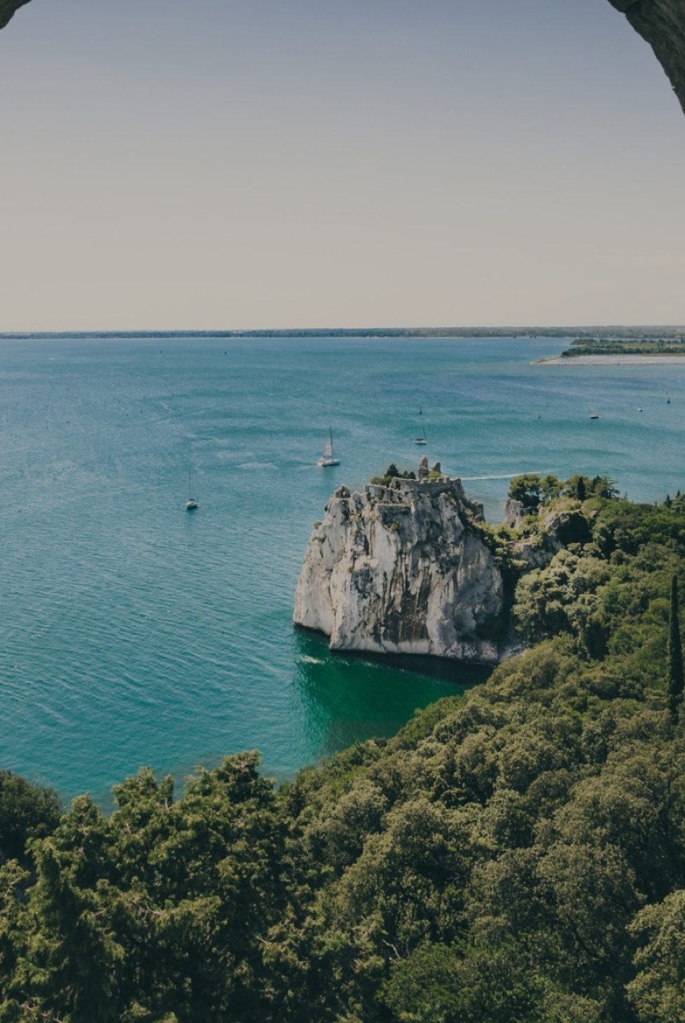 What we do and why we do it