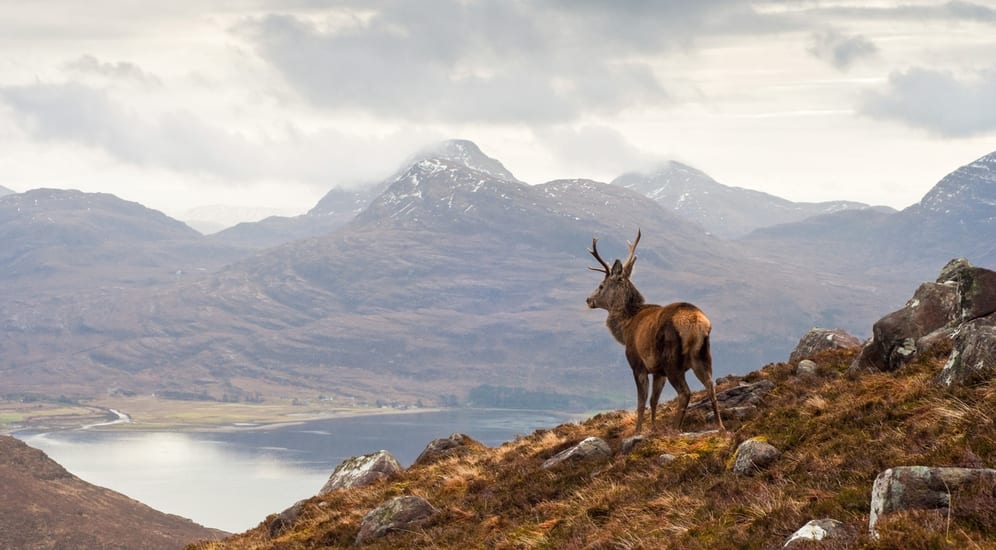 Scotland