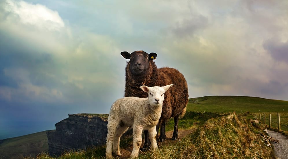 Ireland