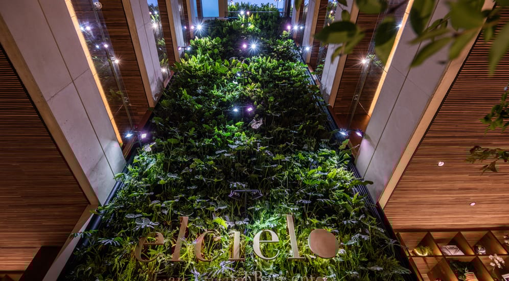 Elcielo Muro Verde