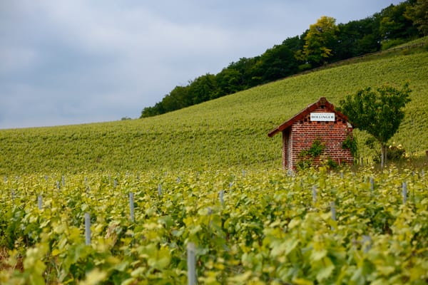 Bollinger estate