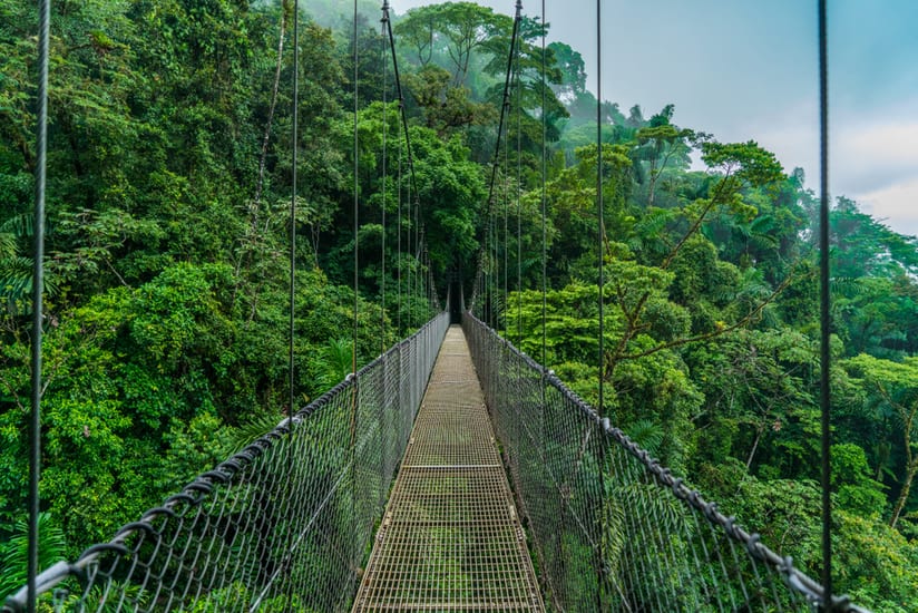 Costa,Rica,Volcano,Arenal,Hanging,Bridge