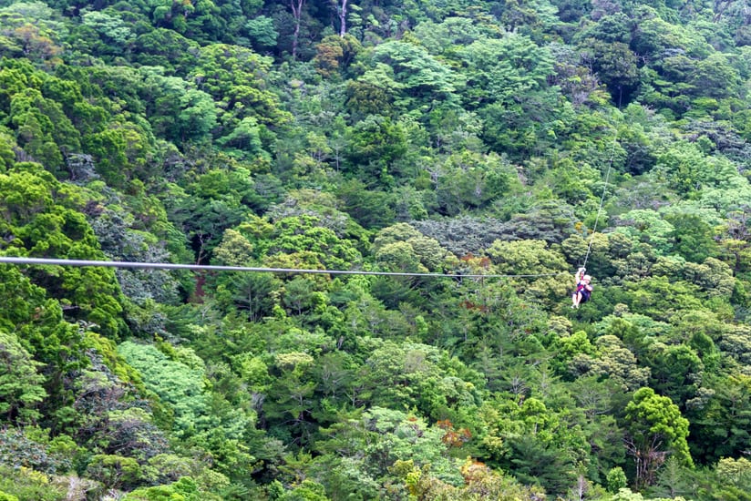 zipline costa rica canopy rainforest activity