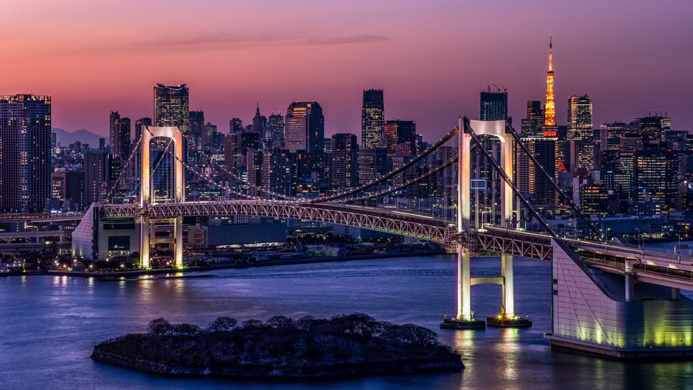tokyo cityscape at night in japan