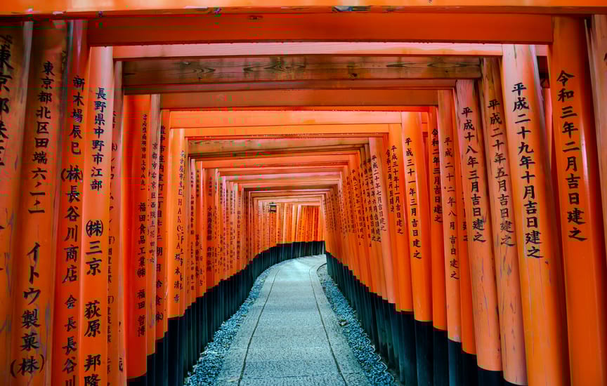 torii gates in kyoto in japan