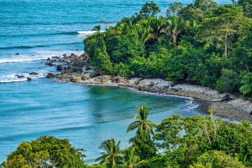 puerto jimenez forest beach view costa rica