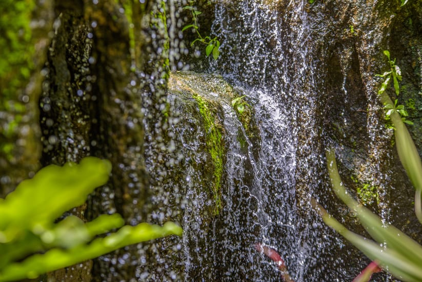 waterfall in garden costa rica