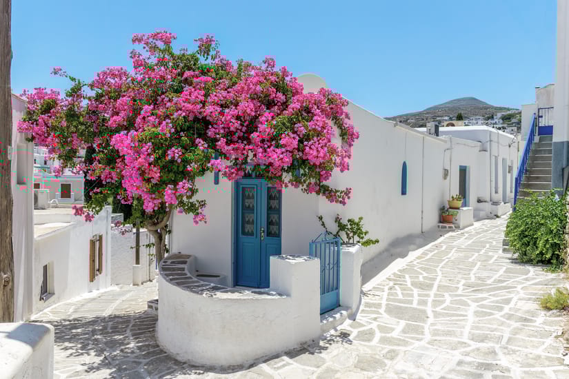 Blue doorways and flowering trees