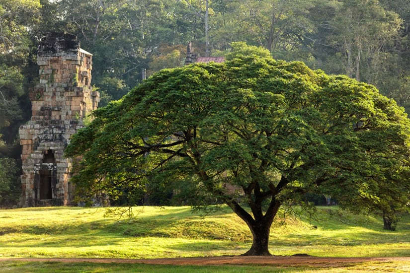 Prasat Suor Prat temple at Angkor Thom in cambodia