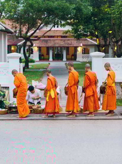 alms offering in luang prabang in laos