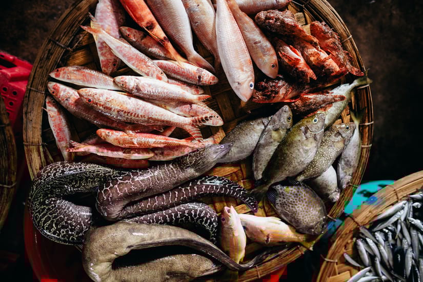 fish market in okinawa in japan
