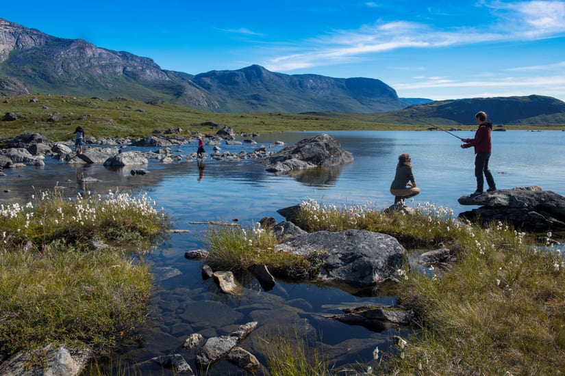 foraging at camp kiattua in greenland