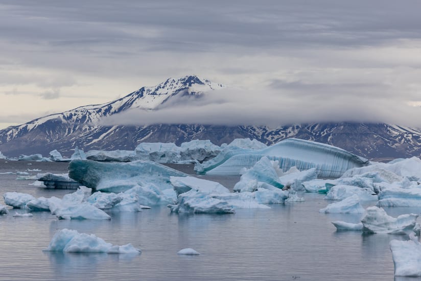icebergs in disko bay in greenland