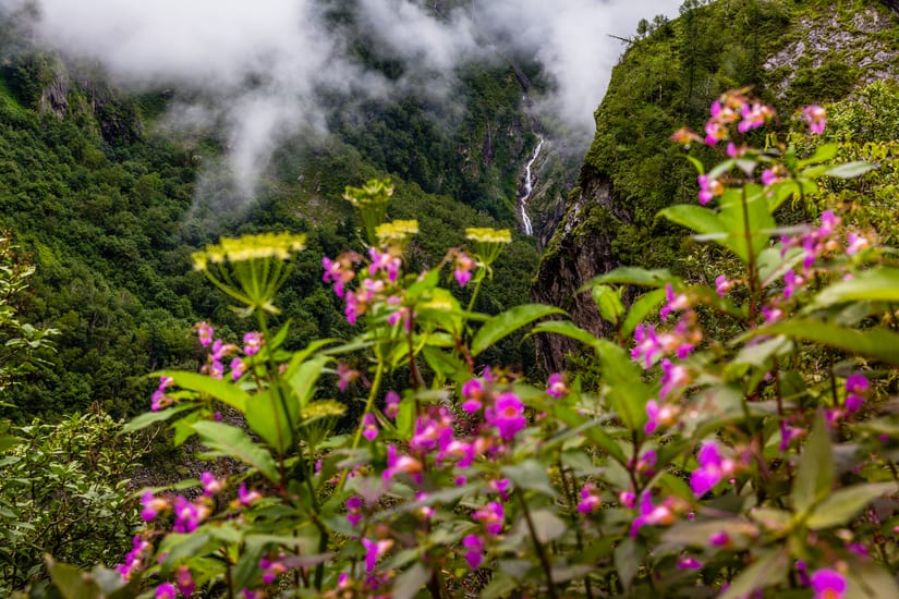 valley in uttarakhand in india
