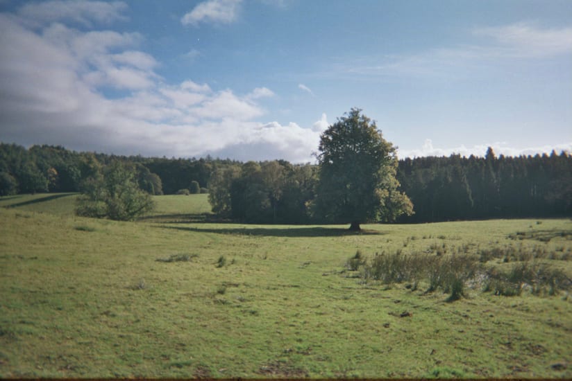 field on farm in scottish highlands in scotland