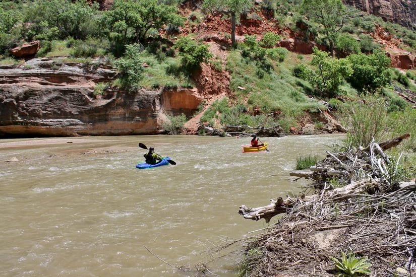 kayaks in virgin river in zion national park in utah in usa